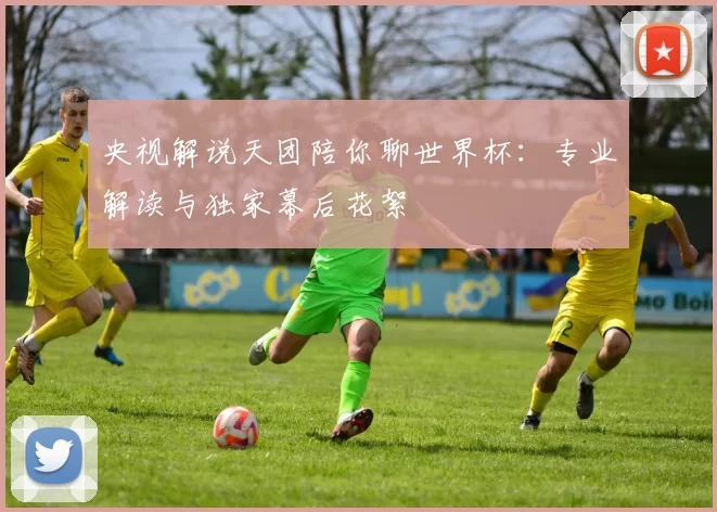央视解说天团陪你聊世界杯:专业解读与独家幕后花絮