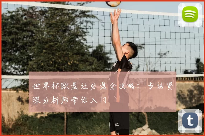 世界杯欧盘让分盘全攻略:专访资深分析师带你入门