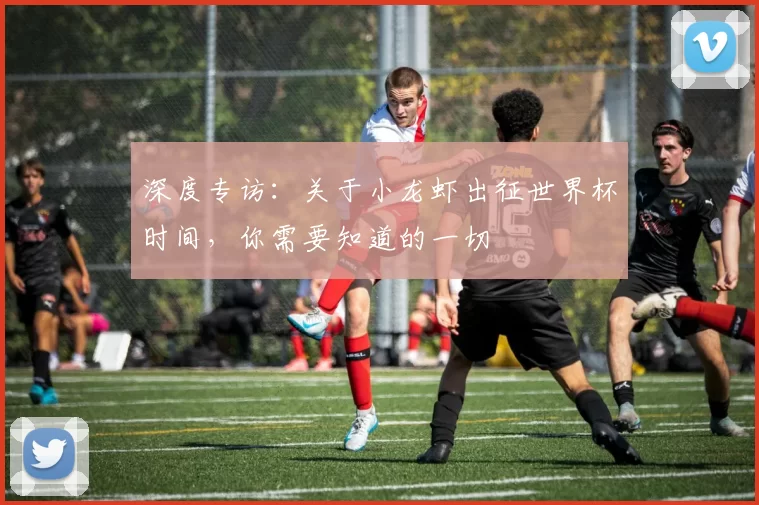 深度专访:关于小龙虾出征世界杯时间,你需要知道的一切