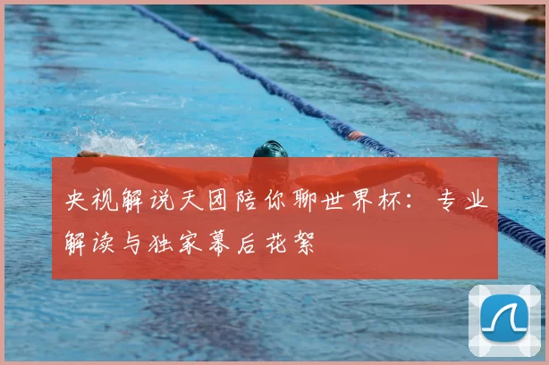 央视解说天团陪你聊世界杯：专业解读与独家幕后花絮