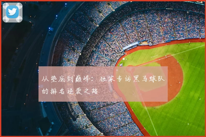 从垫底到巅峰:独家专访黑马球队的排名逆袭之路