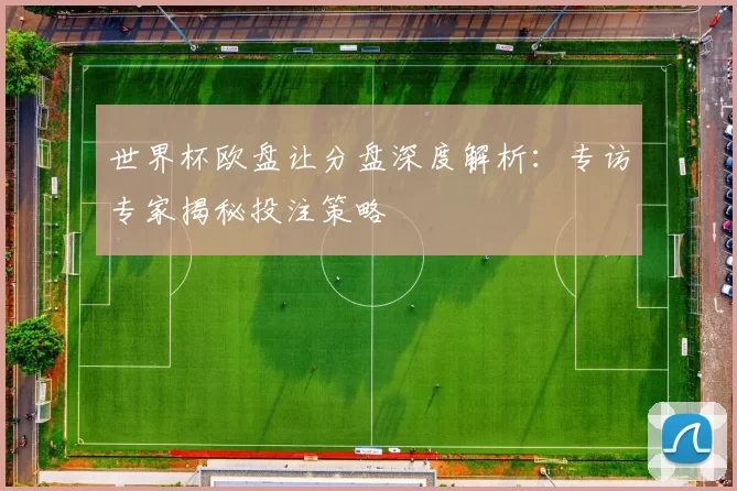 世界杯欧盘让分盘深度解析：专访专家揭秘投注策略