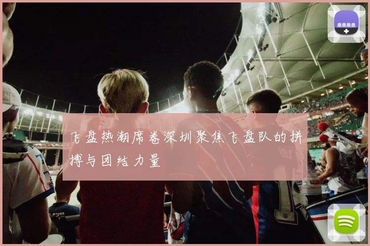 飞盘热潮席卷深圳聚焦飞盘队的拼搏与团结力量