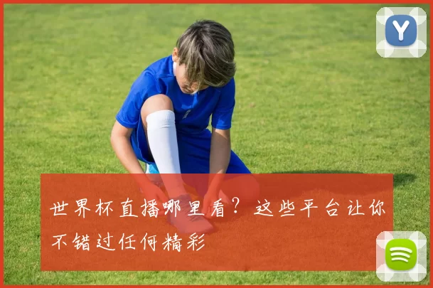 世界杯直播哪里看?这些平台让你不错过任何精彩