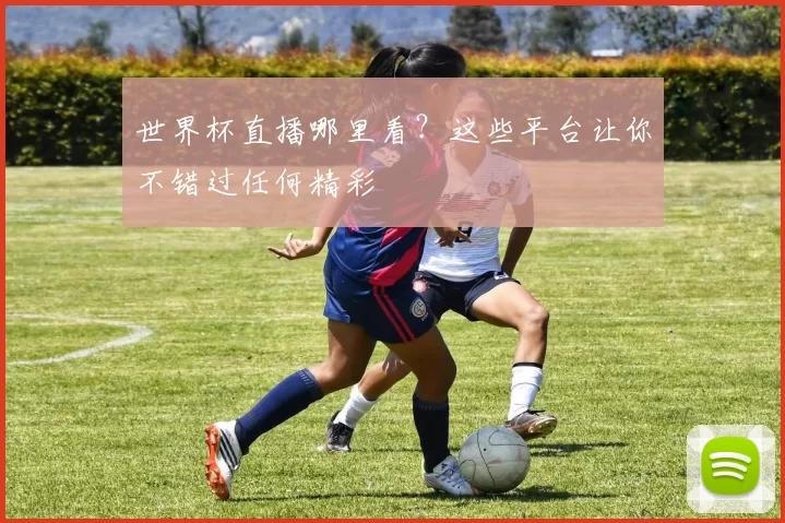 世界杯直播哪里看？这些平台让你不错过任何精彩