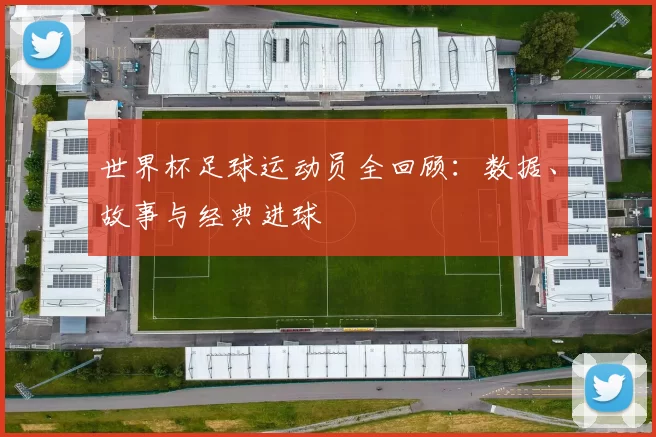 世界杯足球运动员全回顾：数据、故事与经典进球