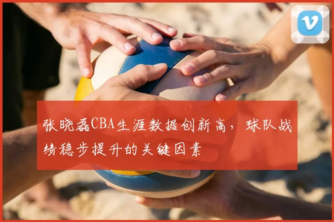 张晓磊CBA生涯数据创新高,球队战绩稳步提升的关键因素