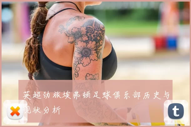 英超劲旅埃弗顿足球俱乐部历史与现状分析