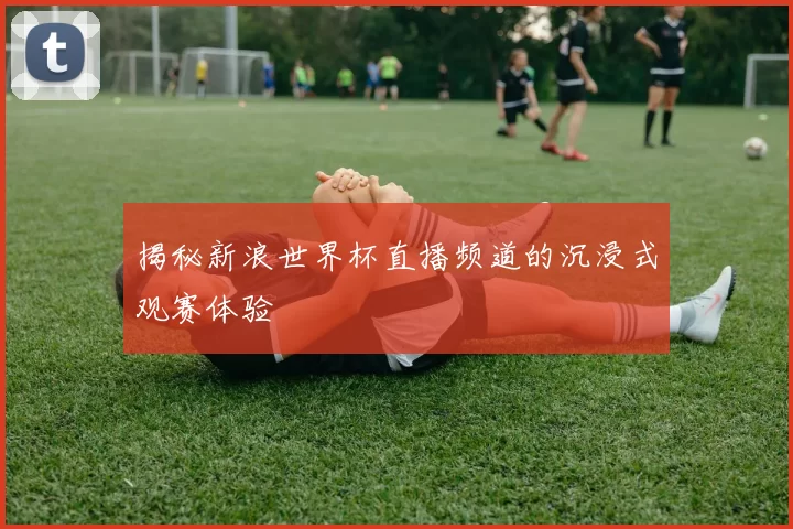 揭秘新浪世界杯直播频道的沉浸式观赛体验