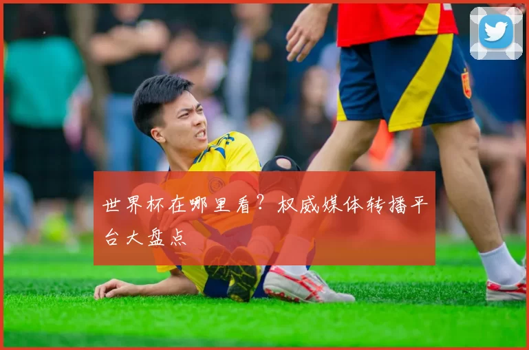 世界杯在哪里看?权威媒体转播平台大盘点