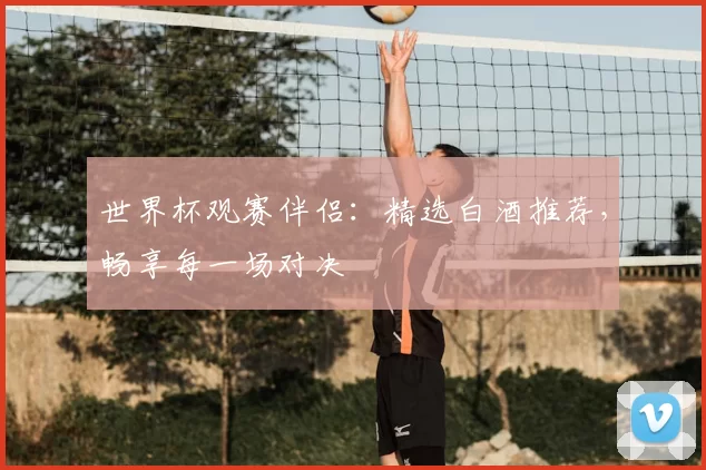世界杯观赛伴侣：精选白酒推荐，畅享每一场对决