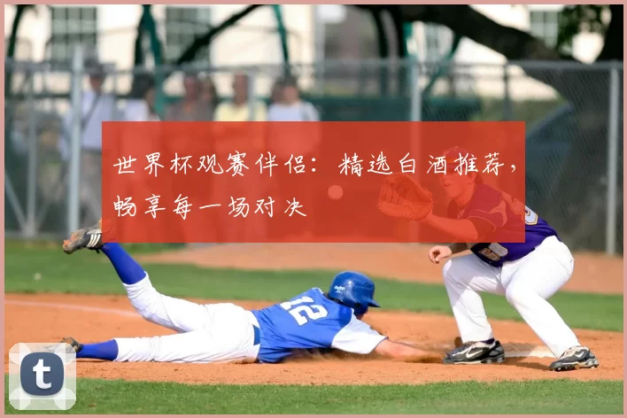 世界杯观赛伴侣:精选白酒推荐,畅享每一场对决
