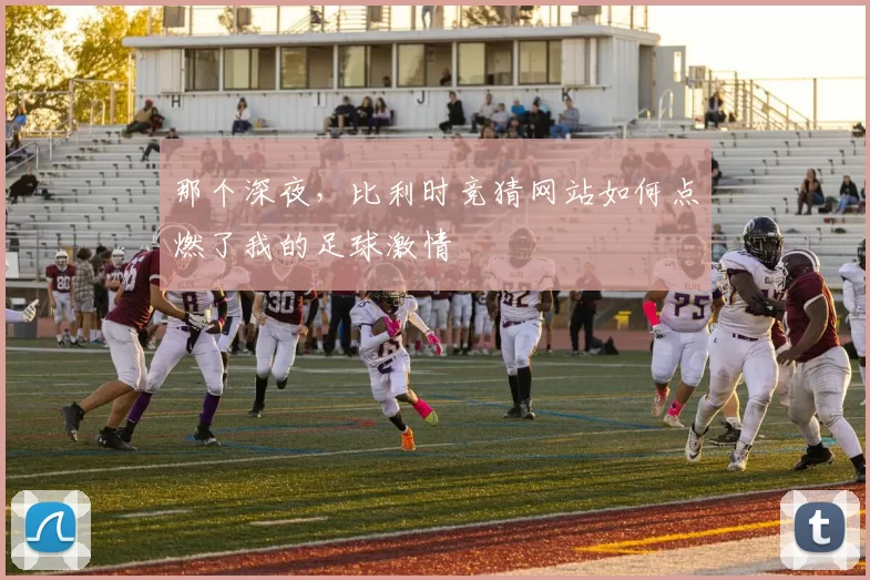那个深夜,比利时竞猜网站如何点燃了我的足球激情