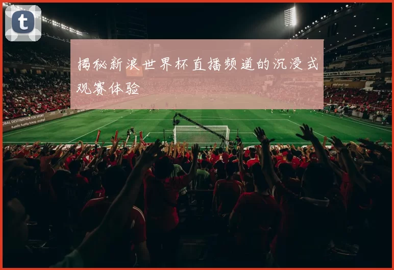 揭秘新浪世界杯直播频道的沉浸式观赛体验