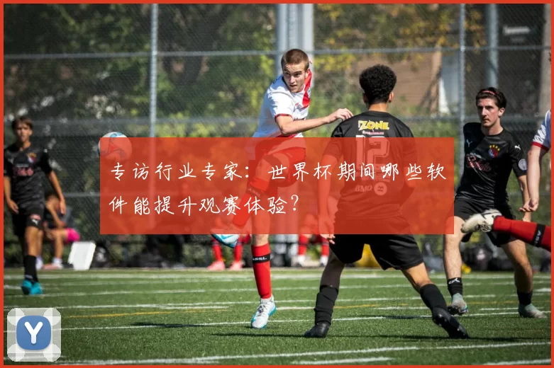 专访行业专家:世界杯期间哪些软件能提升观赛体验?