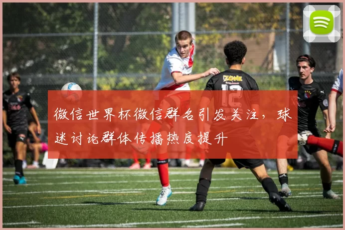 微信世界杯微信群名引发关注，球迷讨论群体传播热度提升
